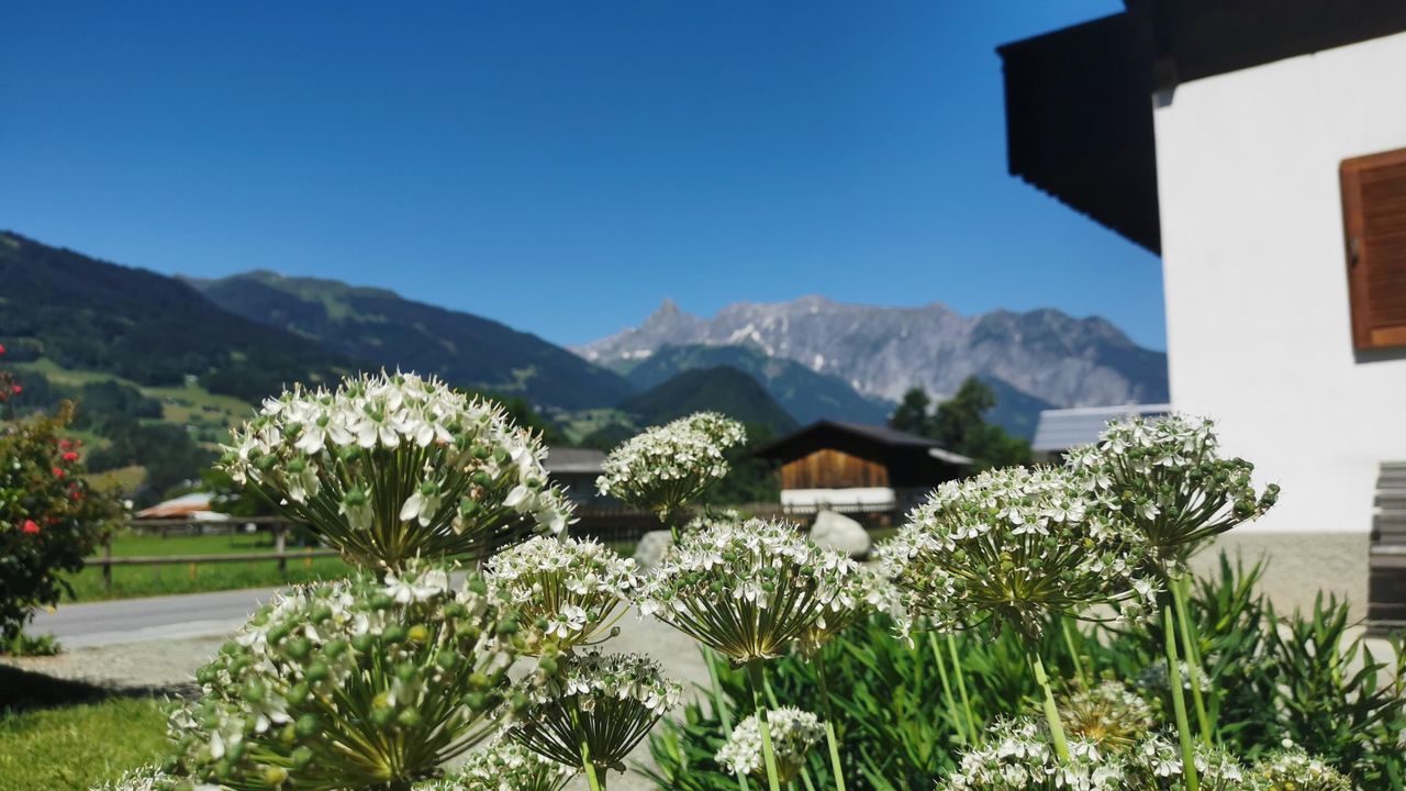 Haus Buachwald Garten Haus Buachwald Garten